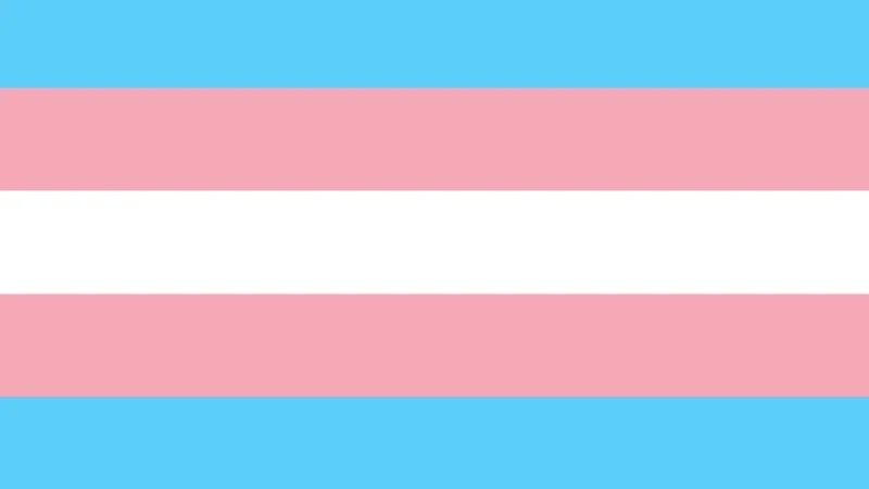 TransFlag
