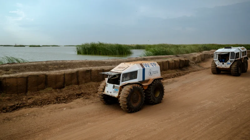 sherp
