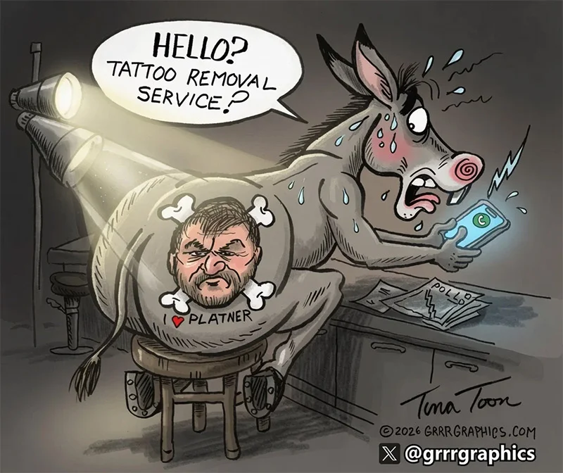donkey-tina234