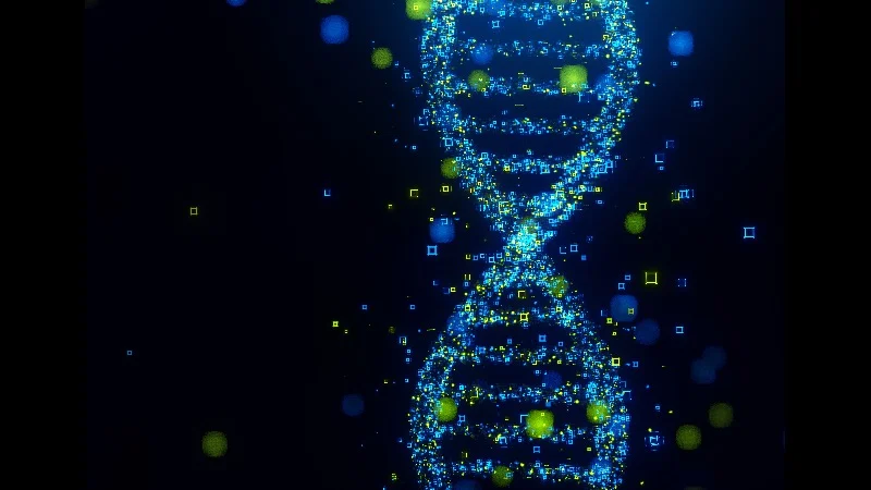 DNA