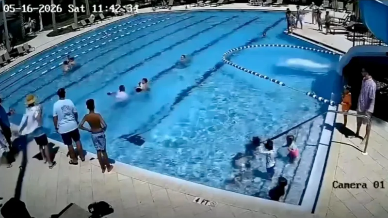 poolicce