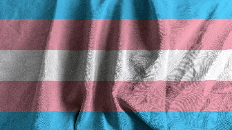 Transfag