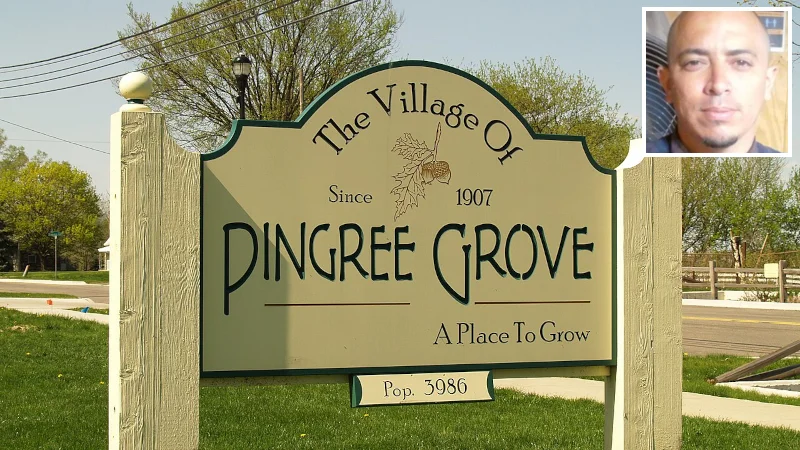 Pingree
