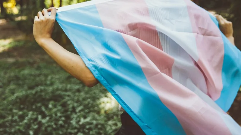 TrannyFlag