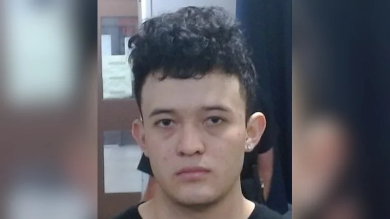 sedg