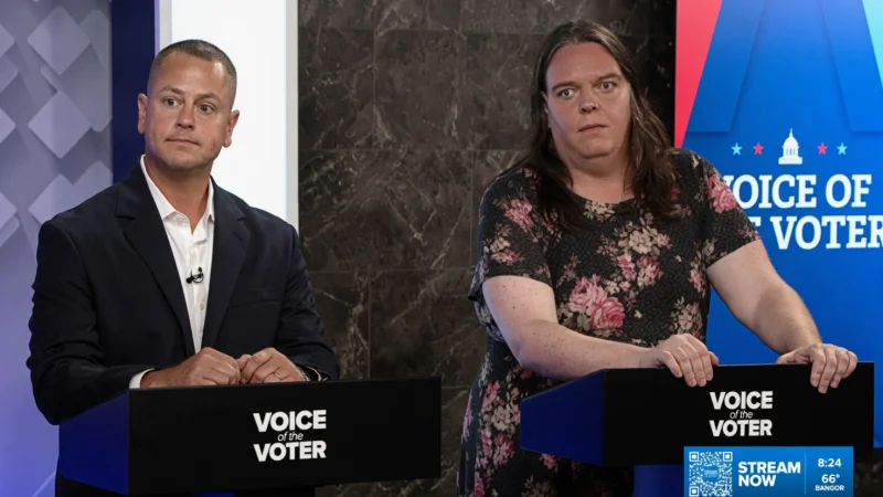 voicevote
