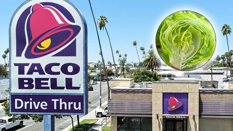 lettuc356127
