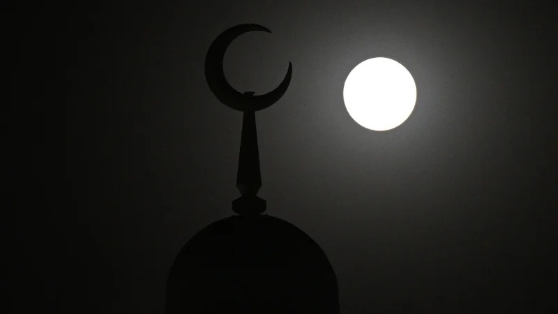 AJN LIVE IMAGES (1)